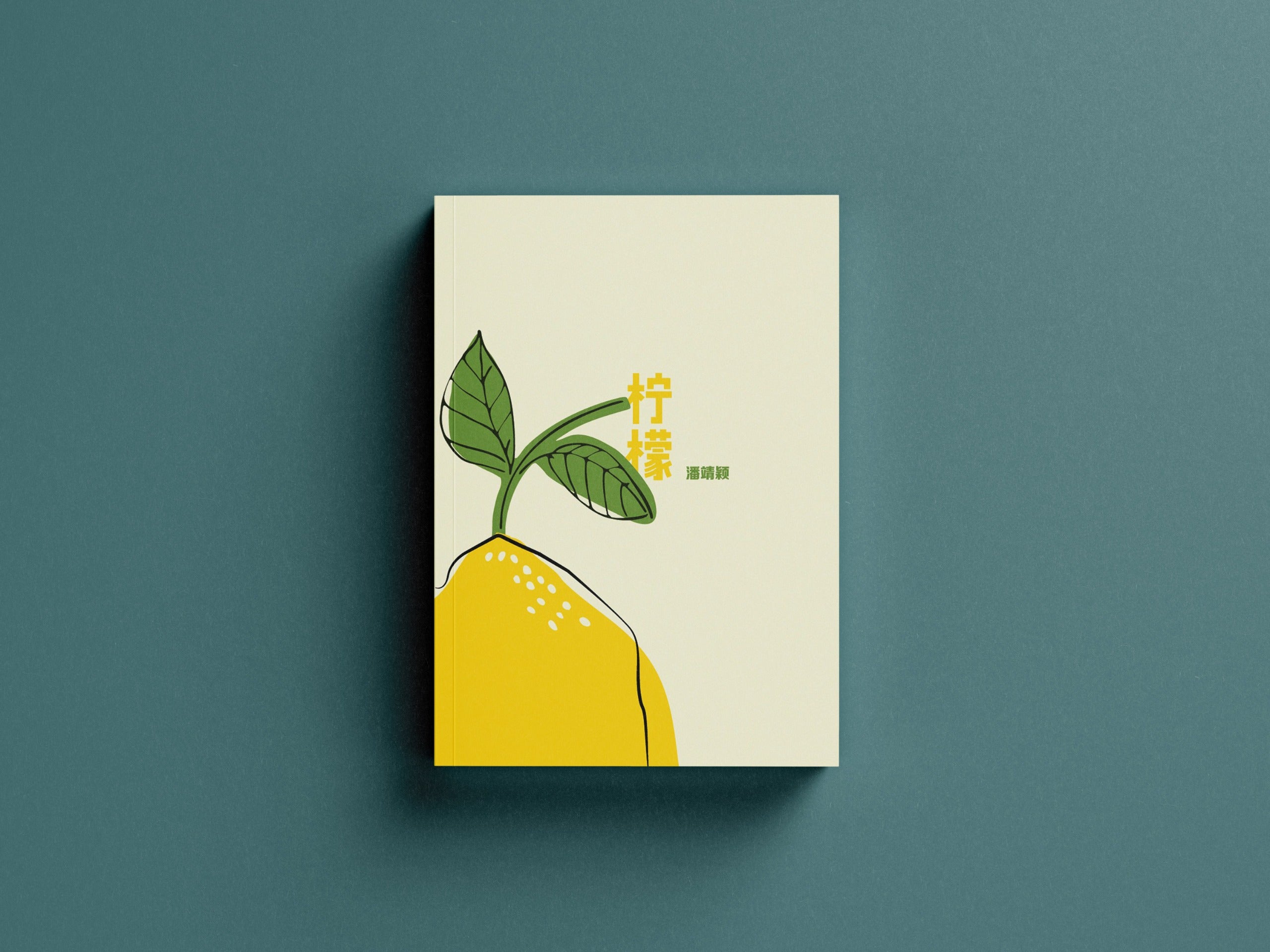 2024-03《遗迹里的中国史》 豆瓣评分8.6 | PDF, image size:2560x1920